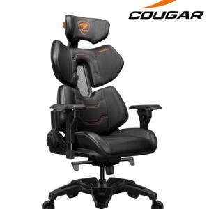 Photoroom 20240206 104708